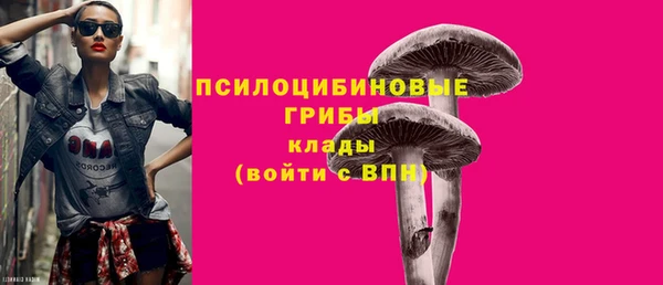 прущие крисы Аркадак