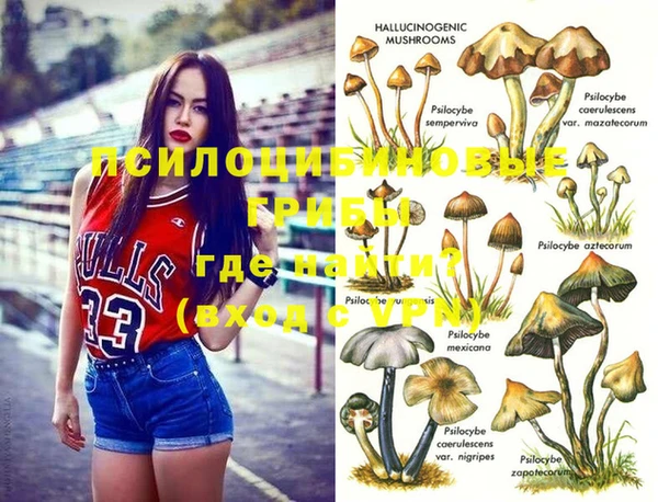круглые Алексеевка