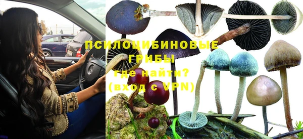 трава Баксан