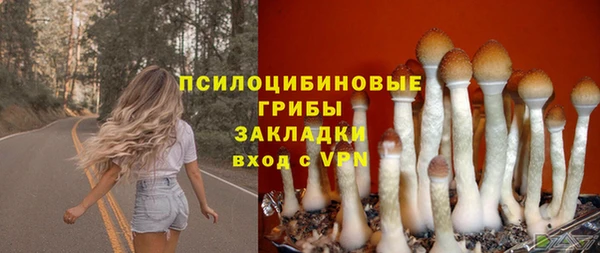 Альфа ПВП Армянск