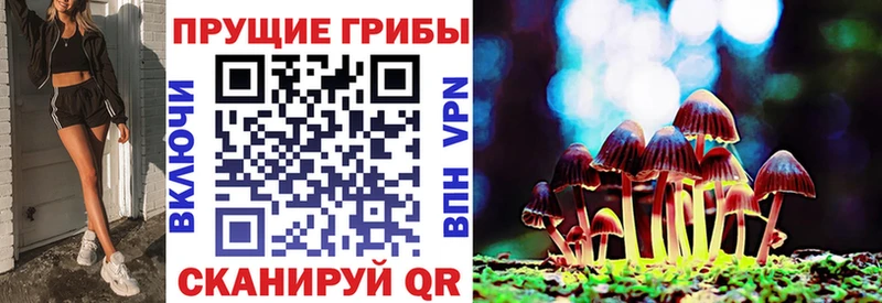 даркнет сайт  мега как войти  маркетплейс телеграм  Суровикино  Псилоцибиновые грибы Cubensis 